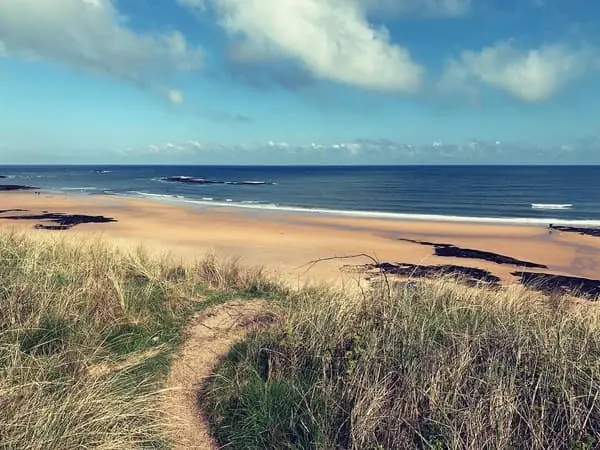 A path through dune grass overlooking an empty beach on the Northumberland coast